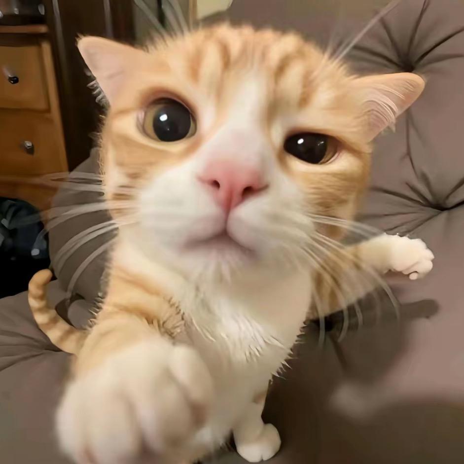 小天使拉粑粑（补药视奸他版）