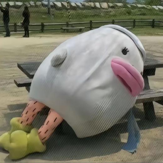 南.