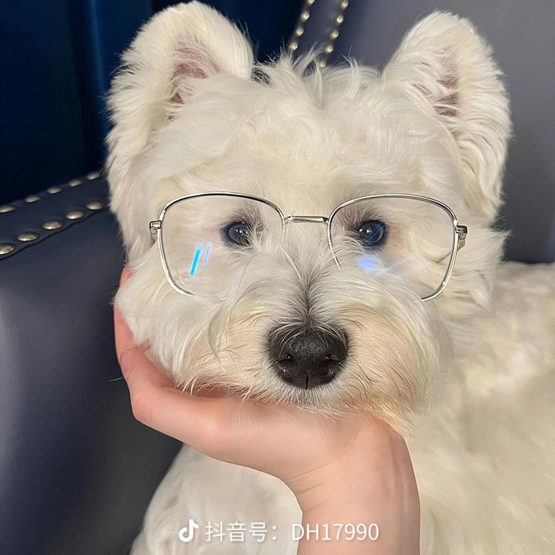 明明鲜果