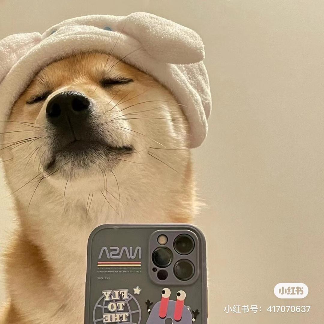 阿郑