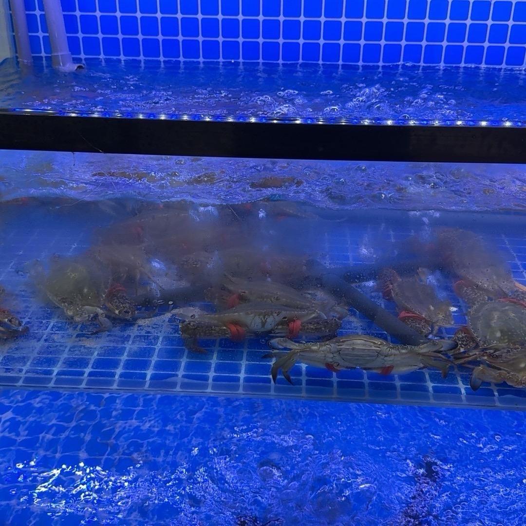 全友海鲜梭子蟹1