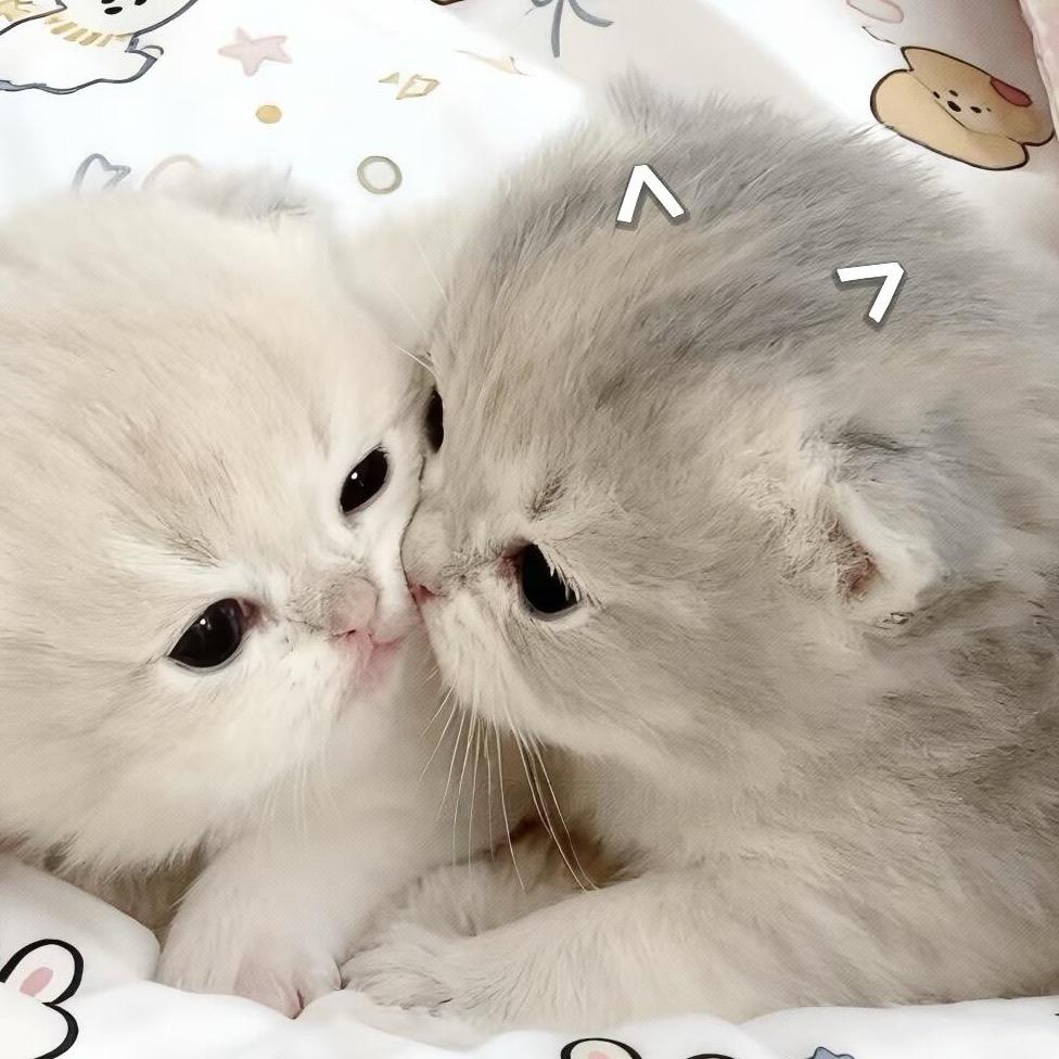 肉丸