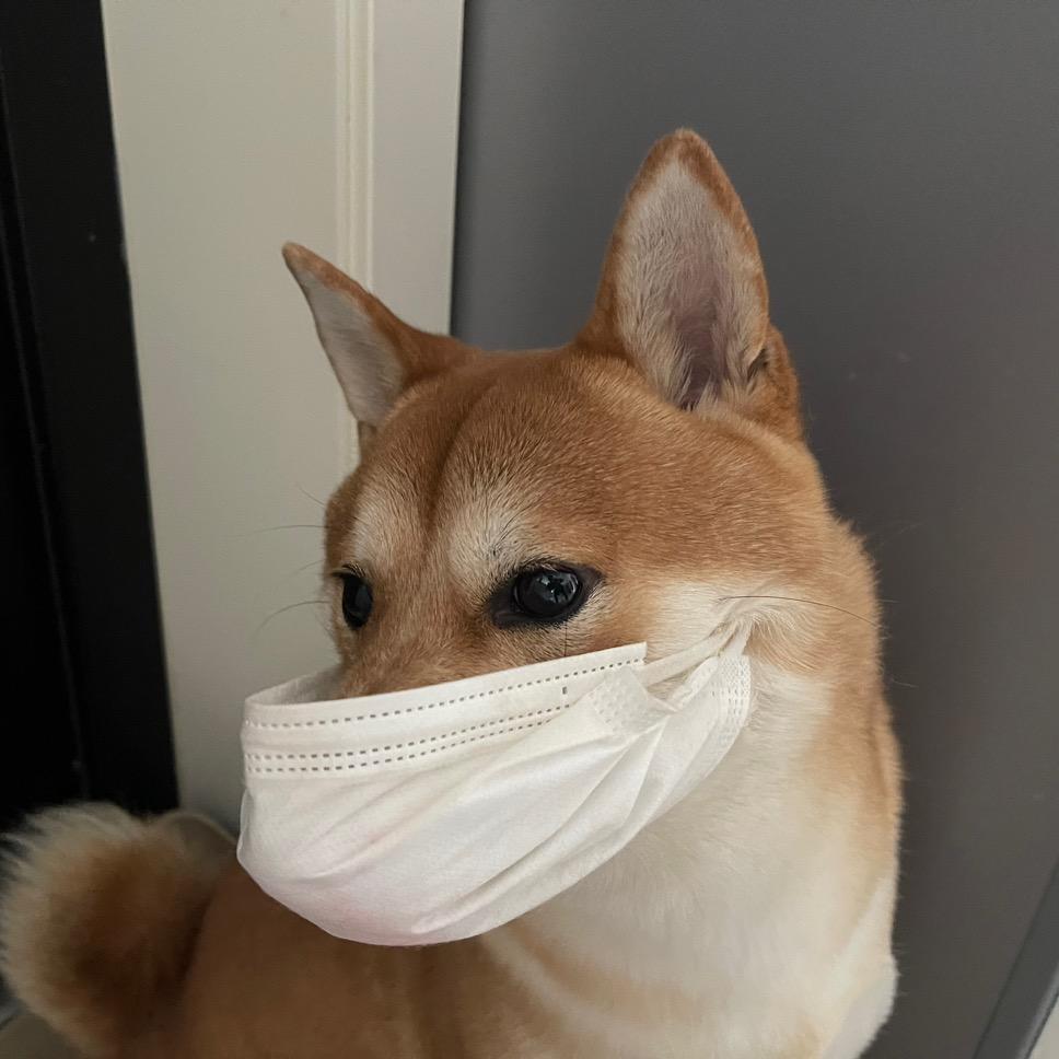 呜呜同学