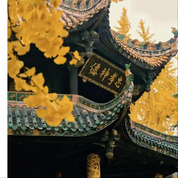 #福来🙏