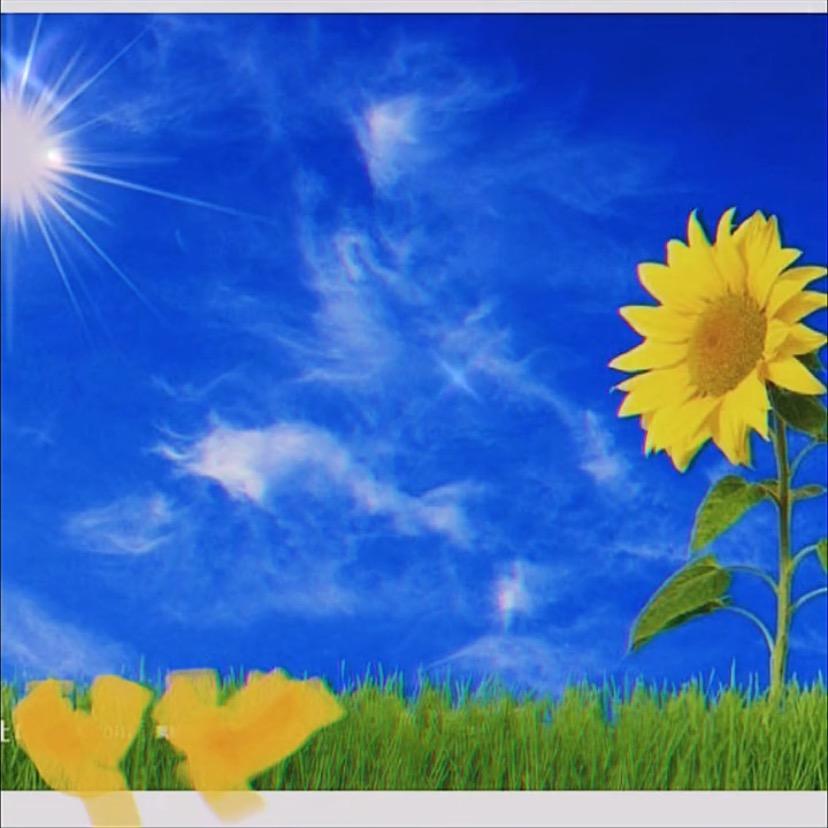 送你一朵小红花