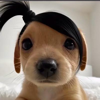 图图穿豹纹比基尼勾引壮壮妈