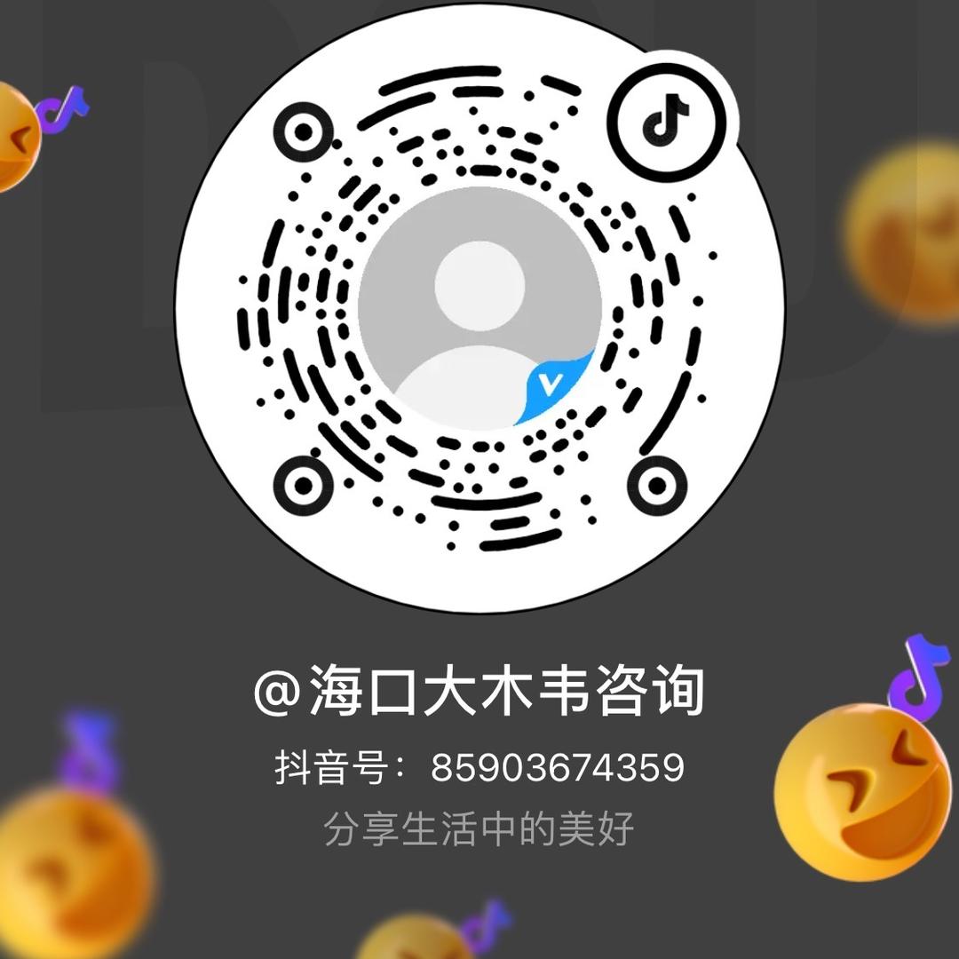 海口大木韦咨询