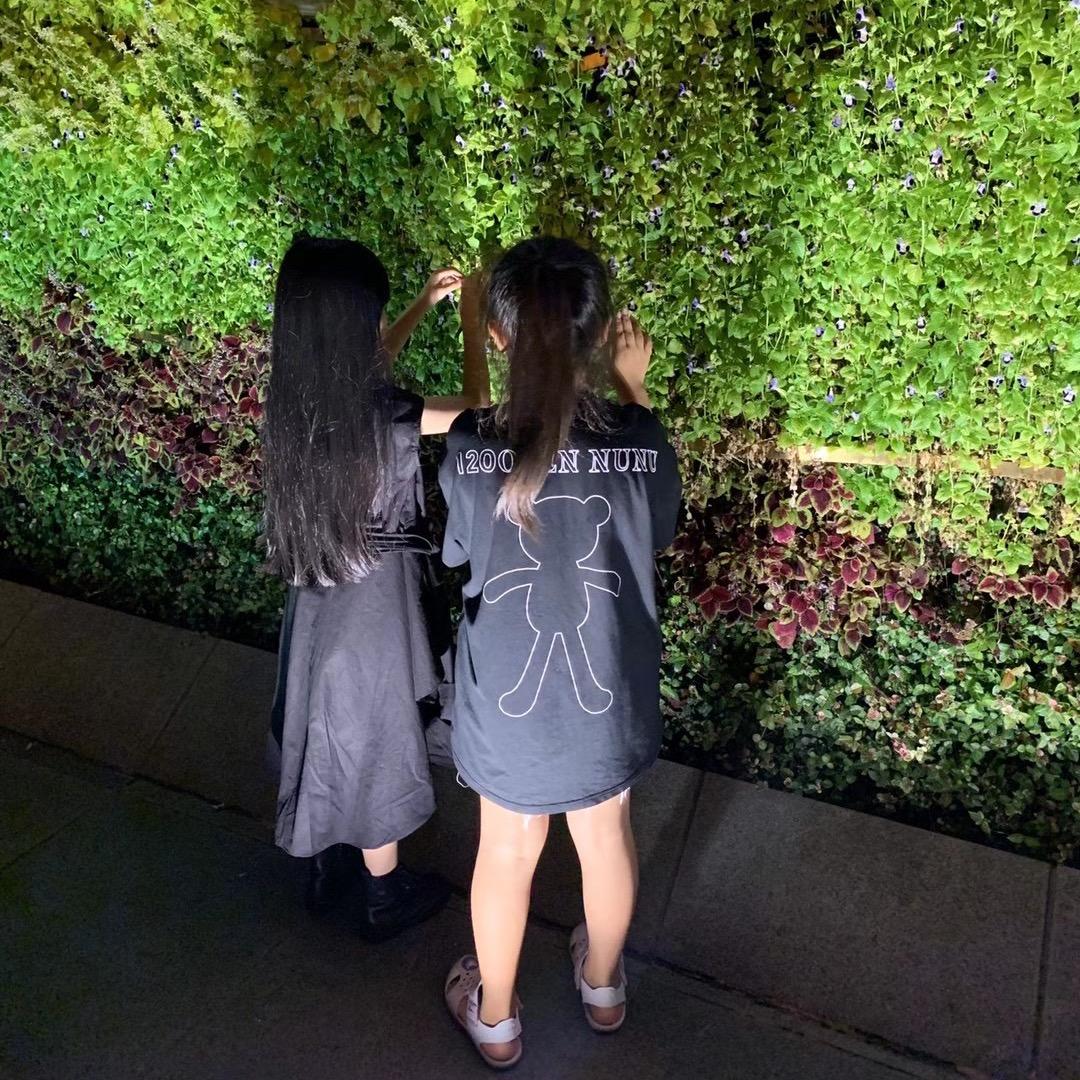 @鹏哥