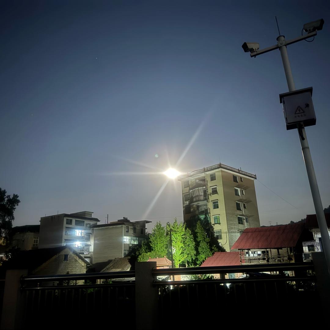 光头<峰回路转>