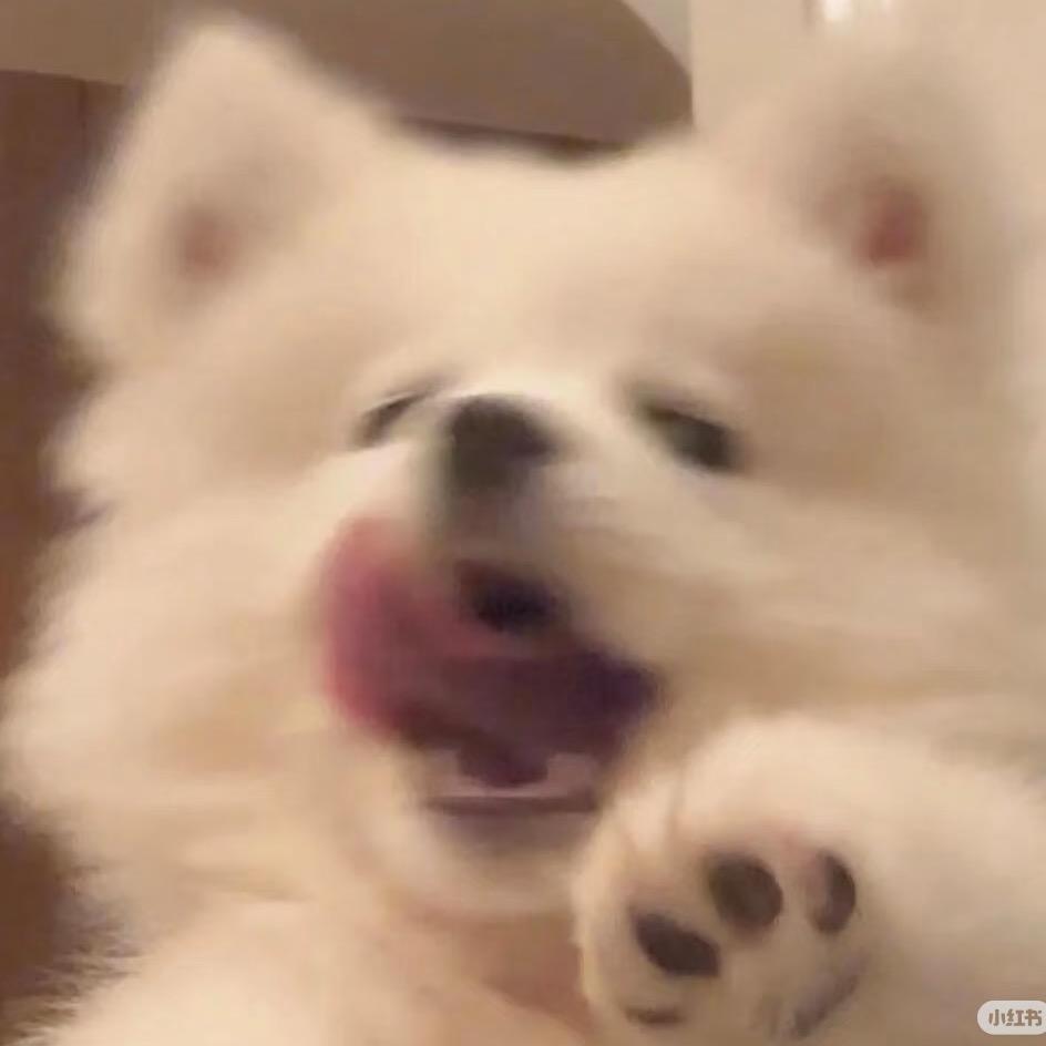 哈哈哈哈哈哈_耶耶耶