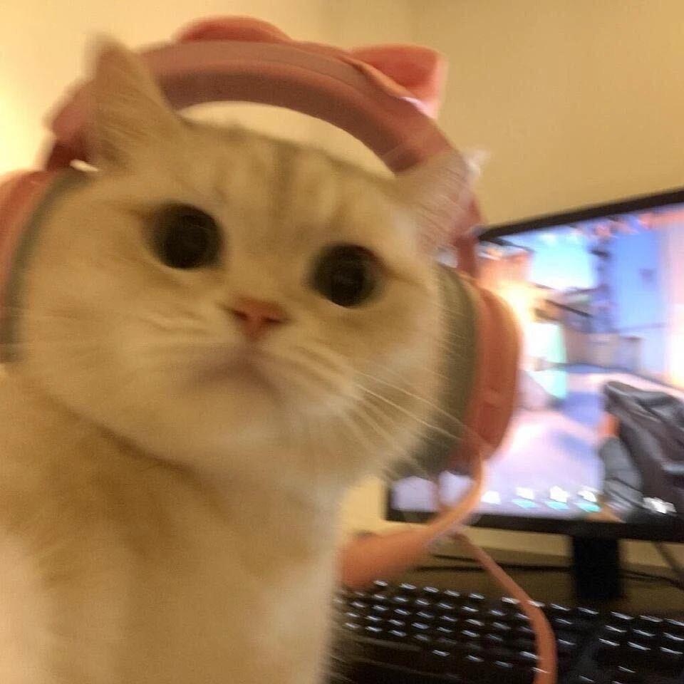 927