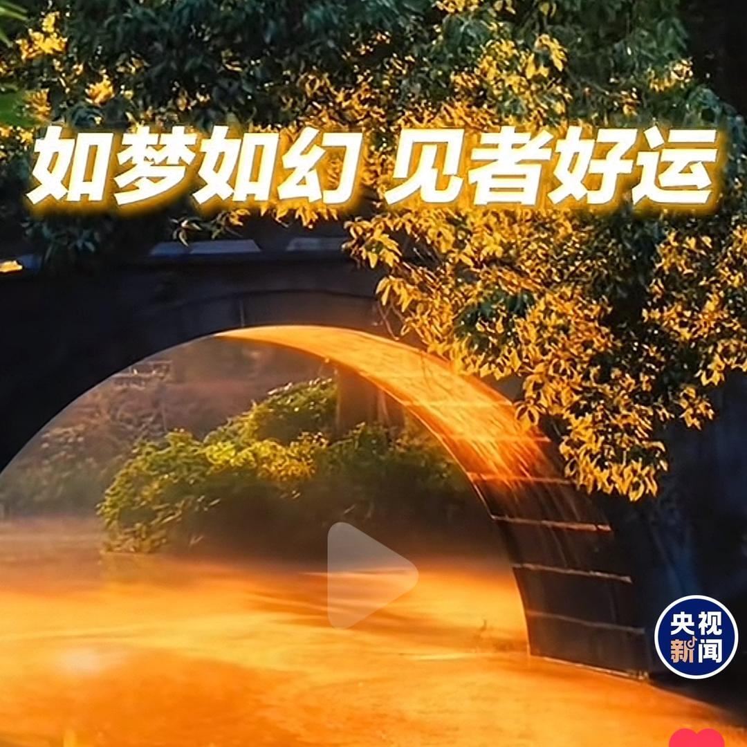 宠物爱好者