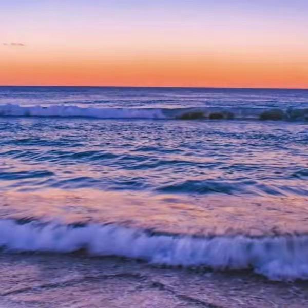 大   海