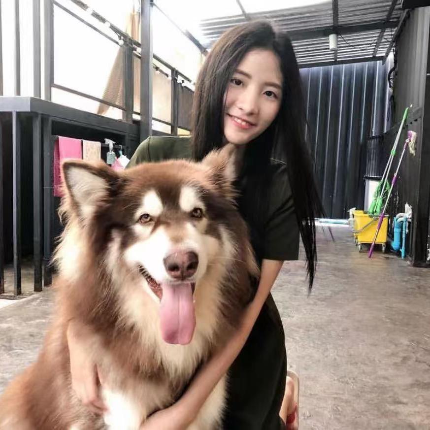 泰阳暖暖