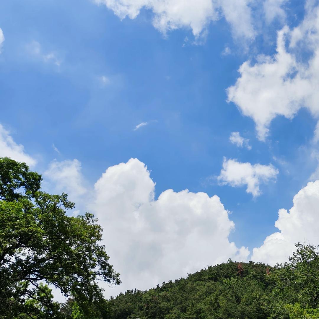 ˶⍤⃝˶ 2⁰²4ᰔᩚ芸沫说再见”