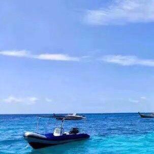 三只羊流落在外的苏州杨弟