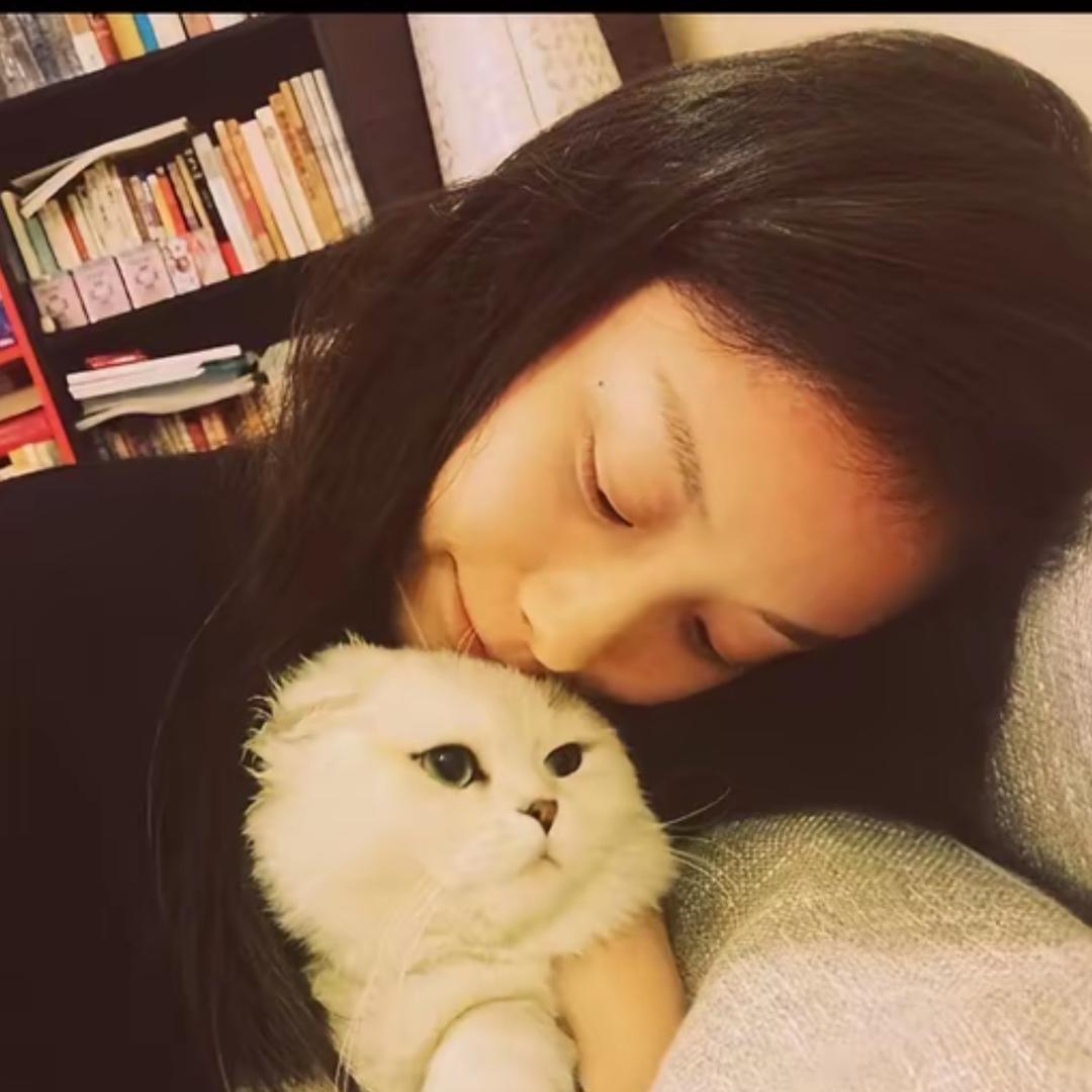 程艾影