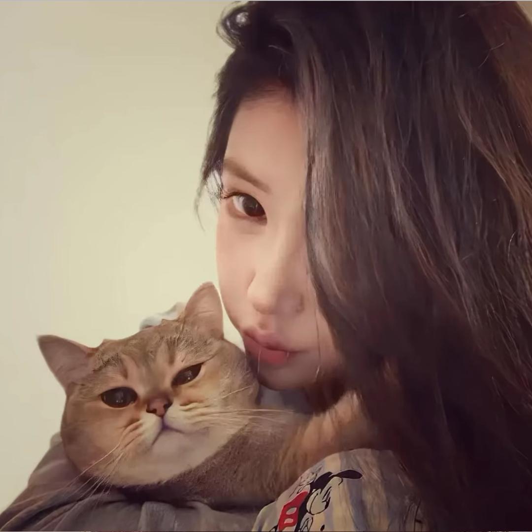 一只羊~