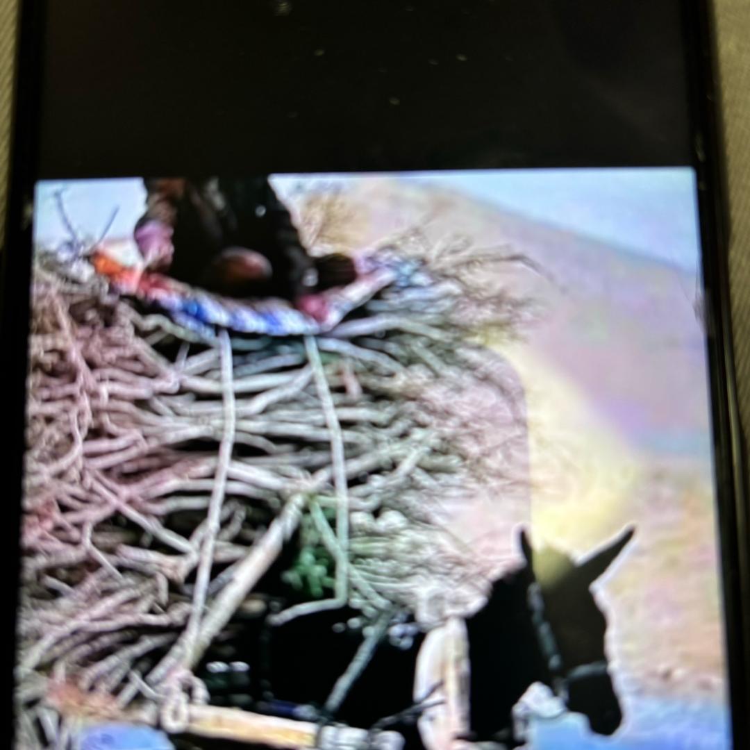 方远几李