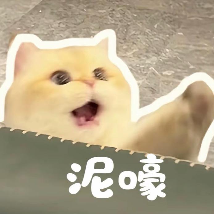 今天好饿