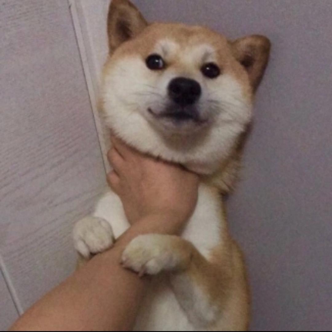 F丶