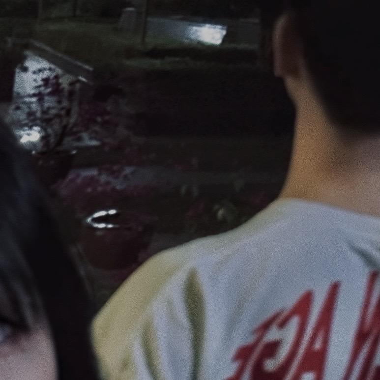 不吃rou