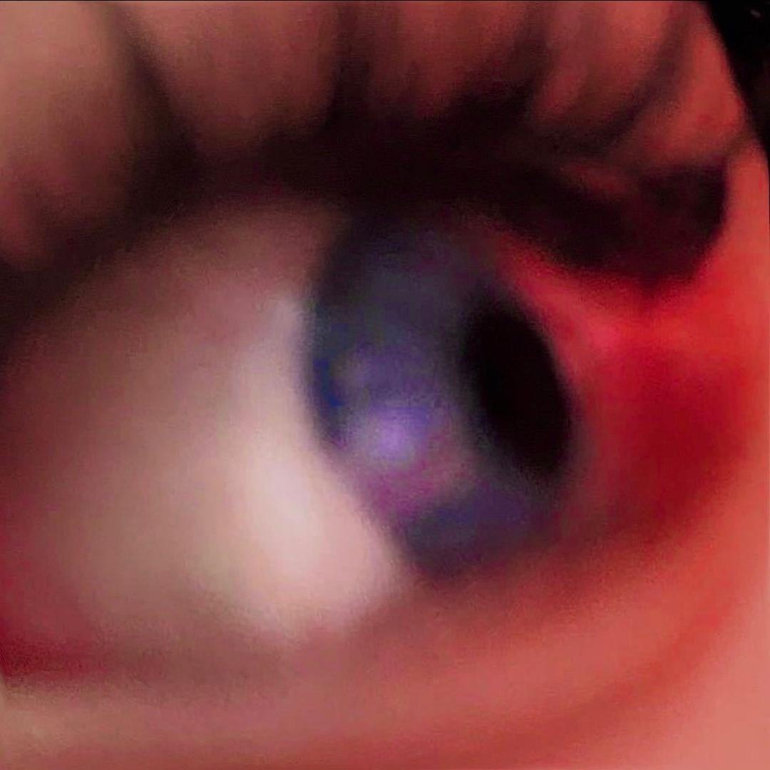 越越宝QaQ