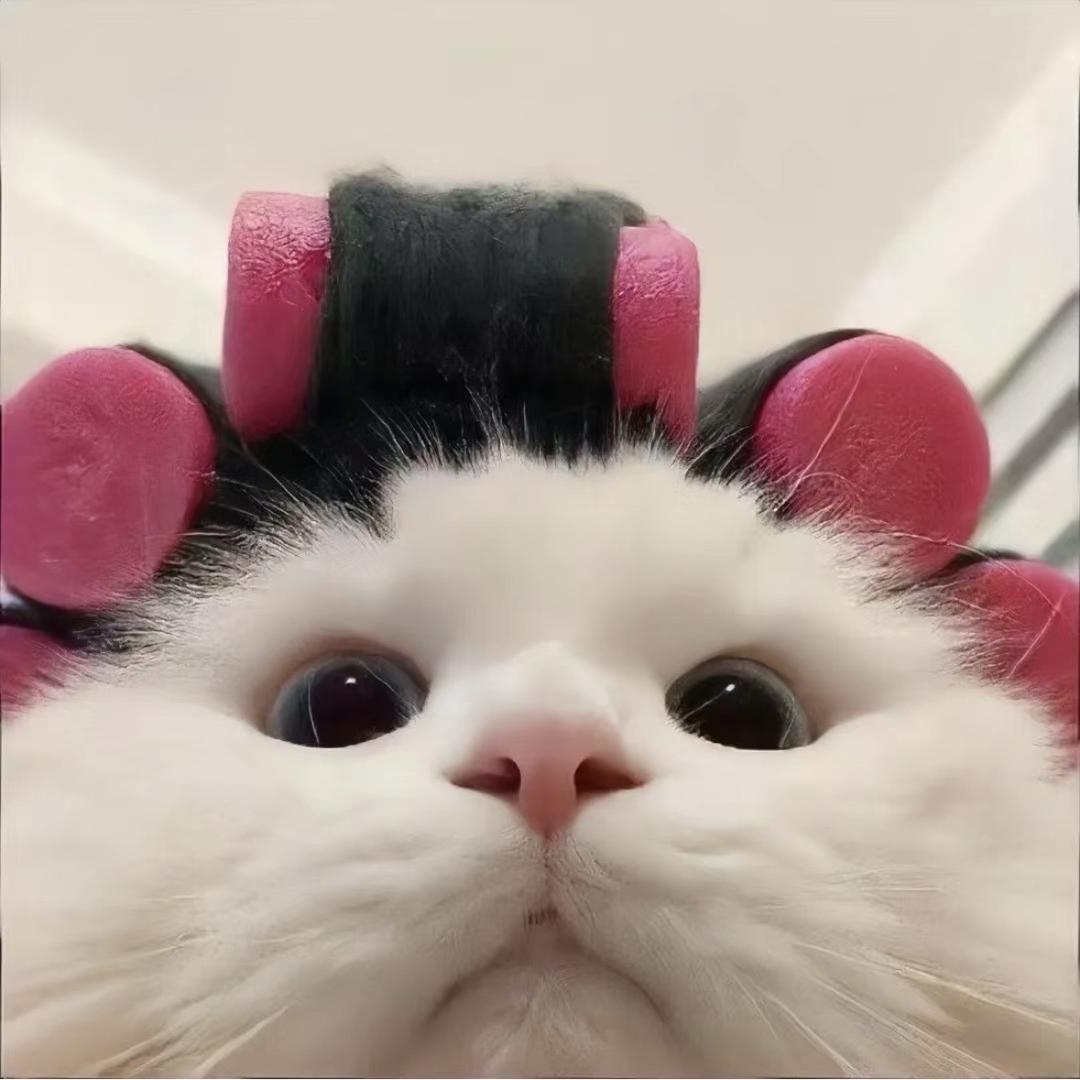 _晓晓