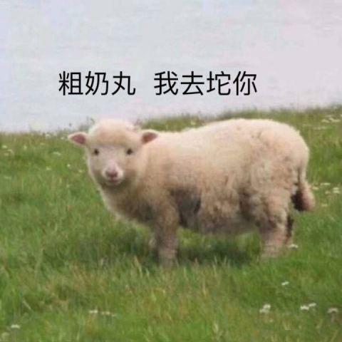 幽猫子