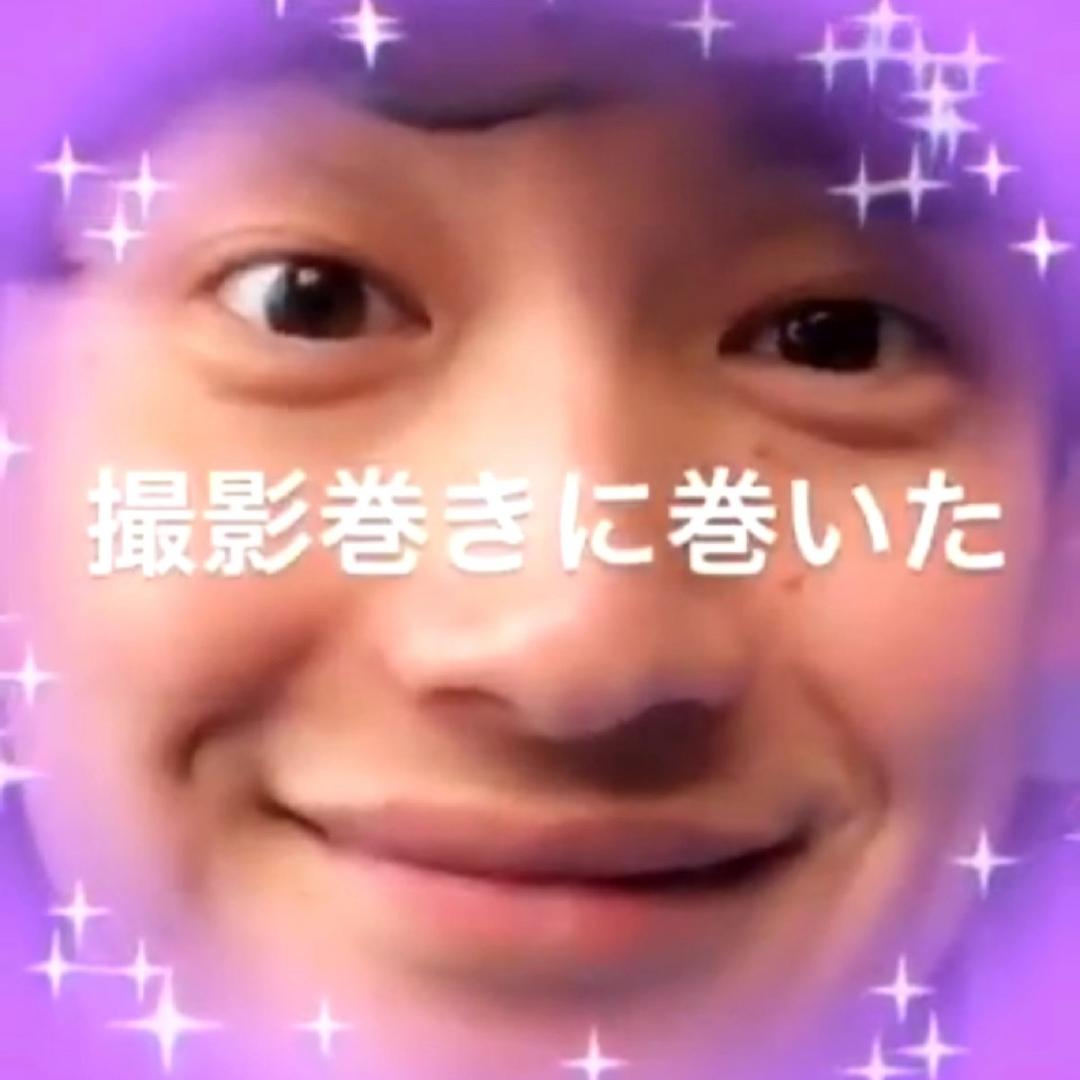 向井太一的一条好狗