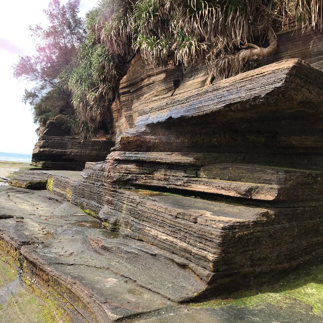 美林居香蕉鸡官方号