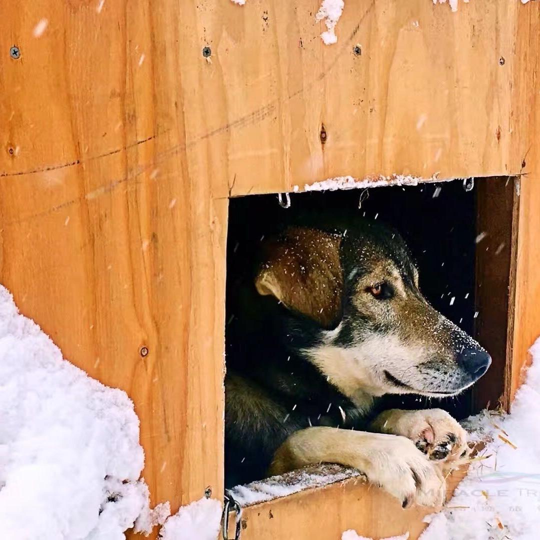 能不能把你挽留