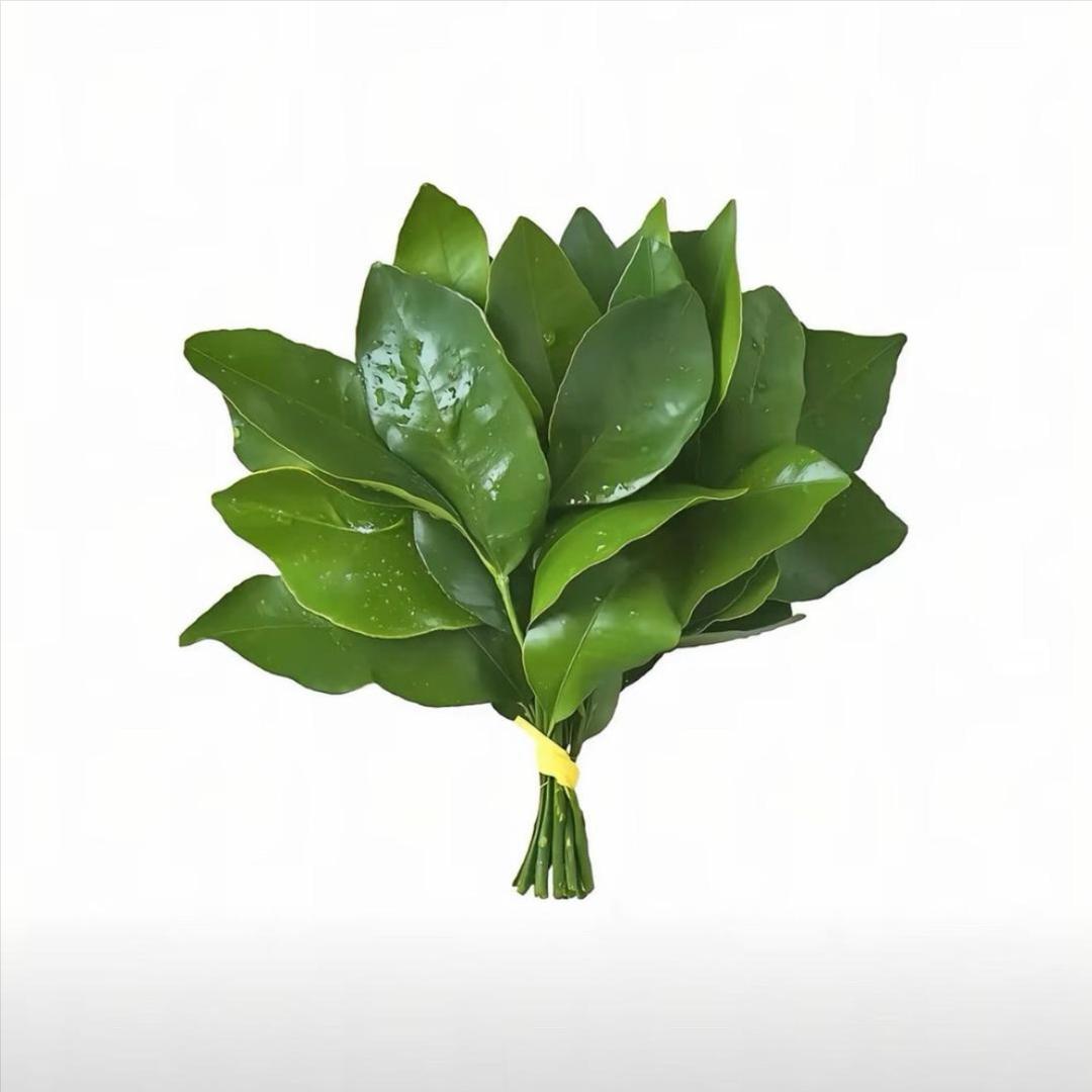 段同学