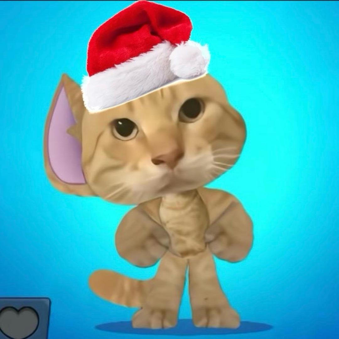 小小猫