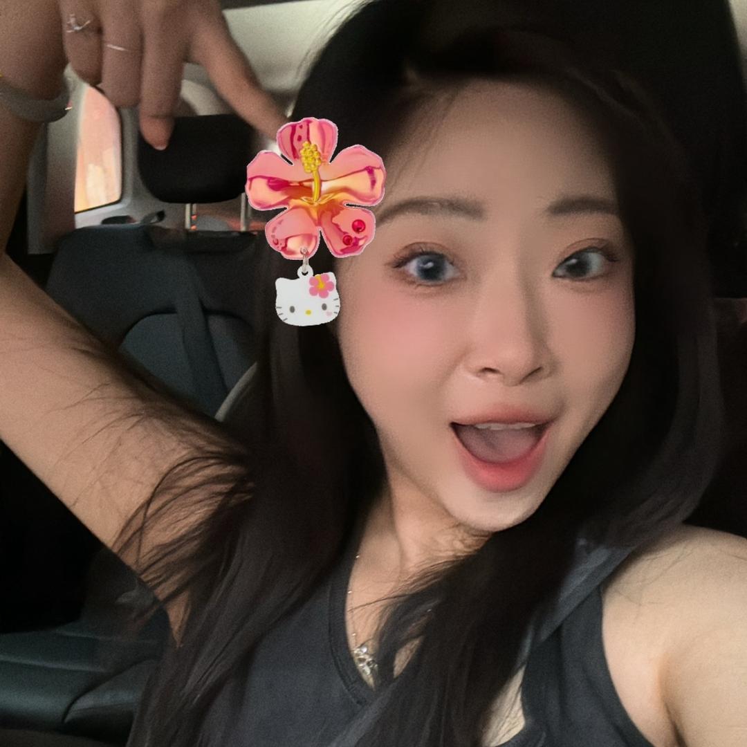 是车车啊🪞