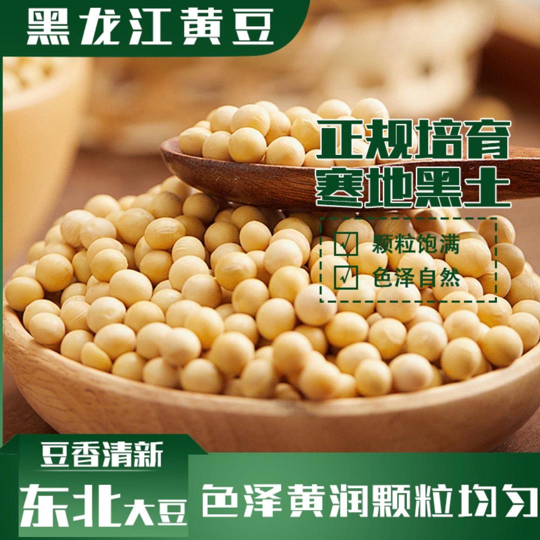 黄豆家族
