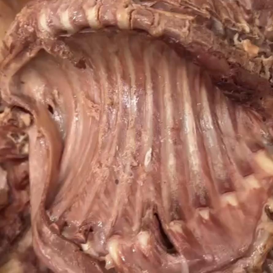 沛鼎卤肉铺