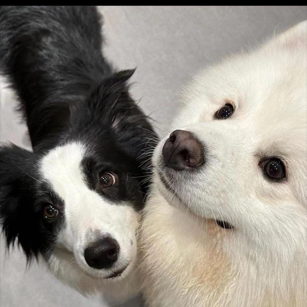 🌈独一无二