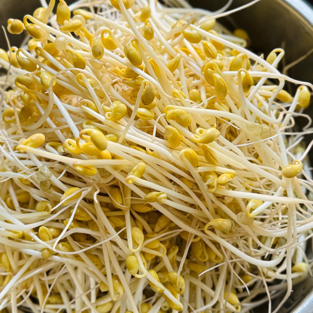 古法豆芽