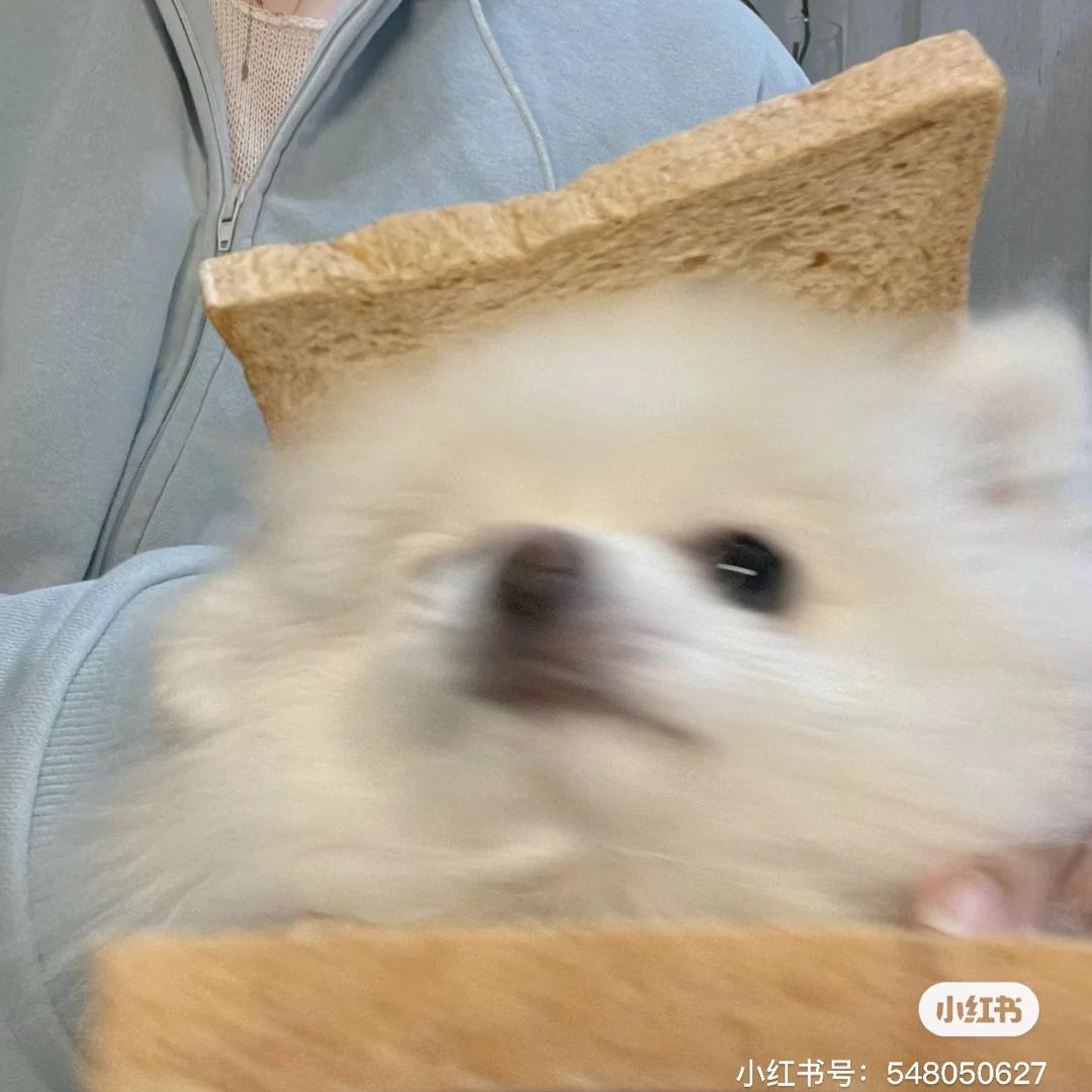 165的蠢小淼