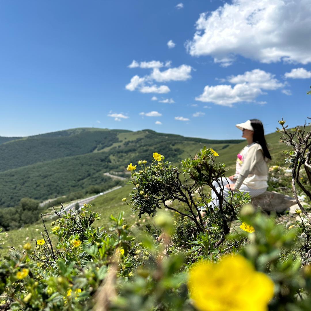 任丘玉米囤玉米架厂家（婷婷）