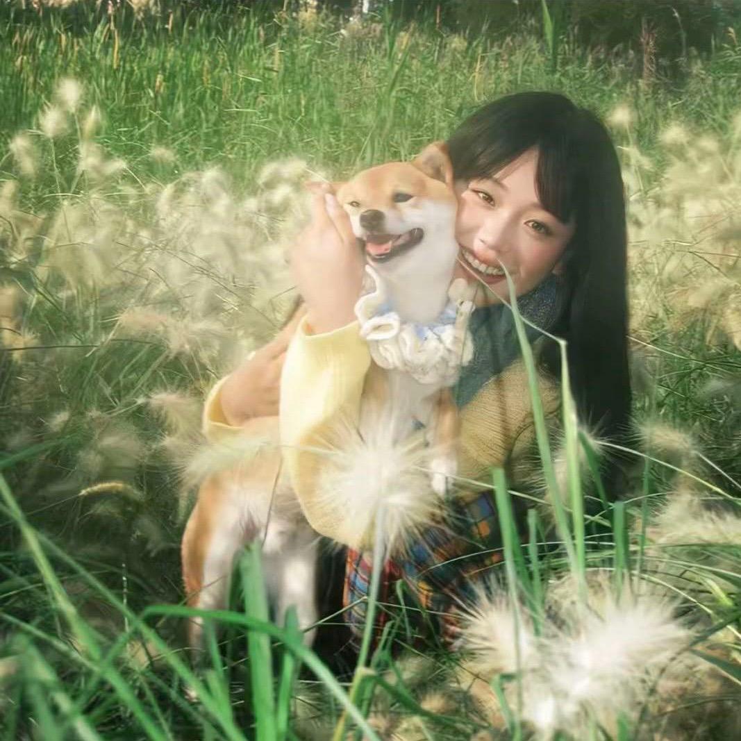 忧郁炭炭
