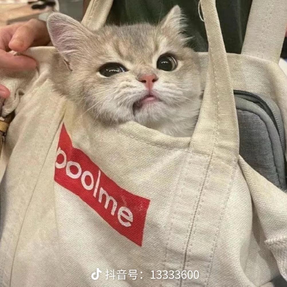 财神爷最偏爱的崽