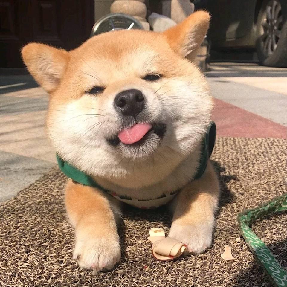 沃尔玛购物袋