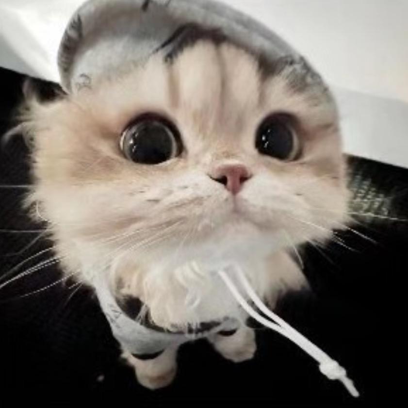 。。。。。。。。。