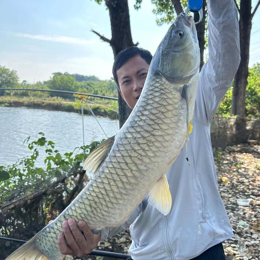 芦大物日常小号