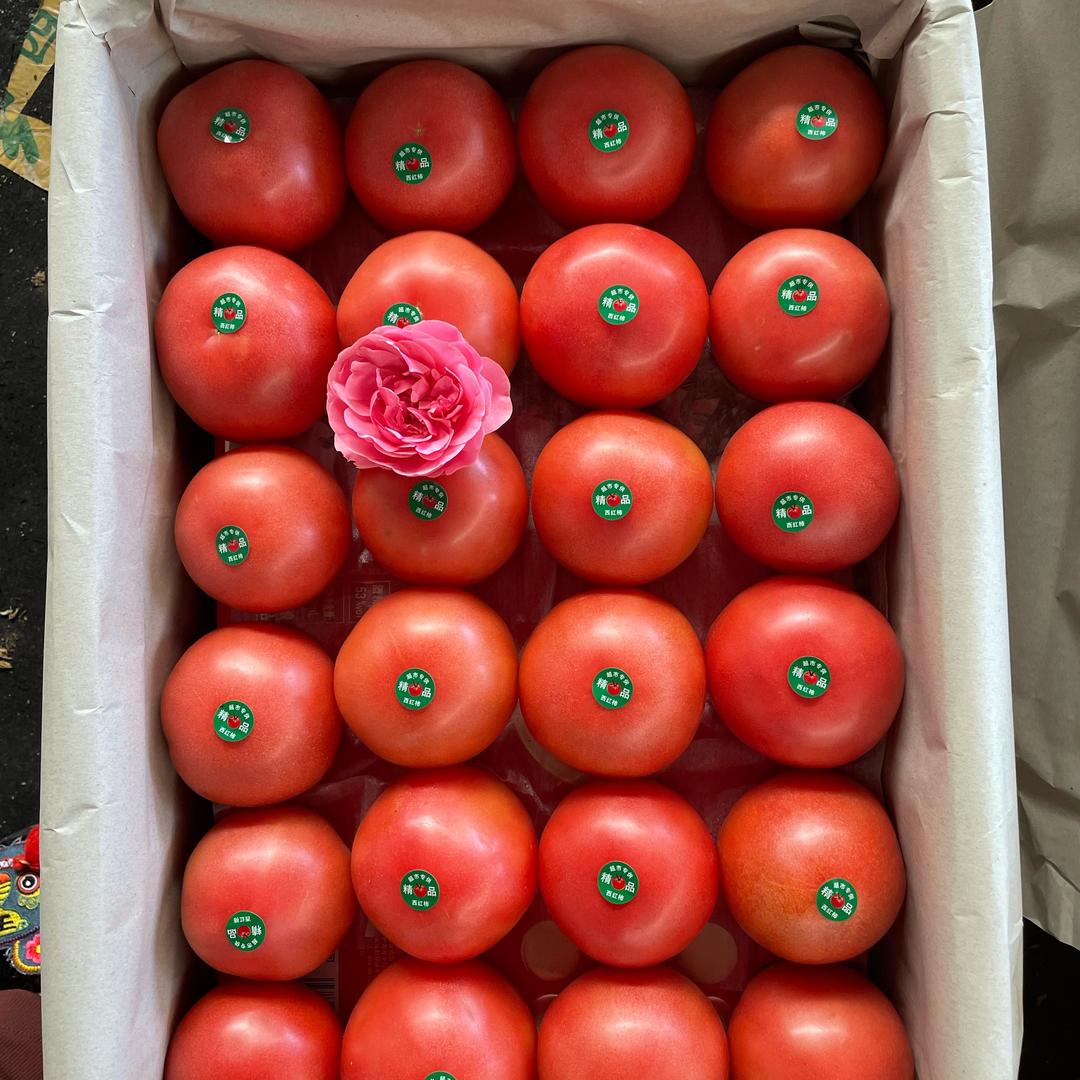 淄博临淄蔬菜代收