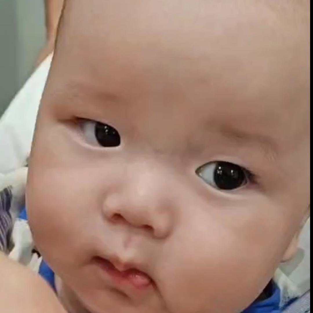爱拼才会赢