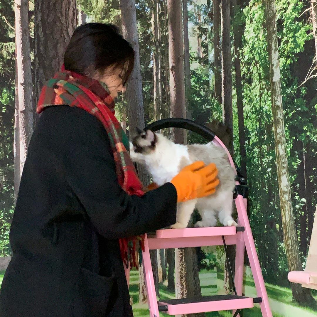 我爱吃糖葫芦🍡