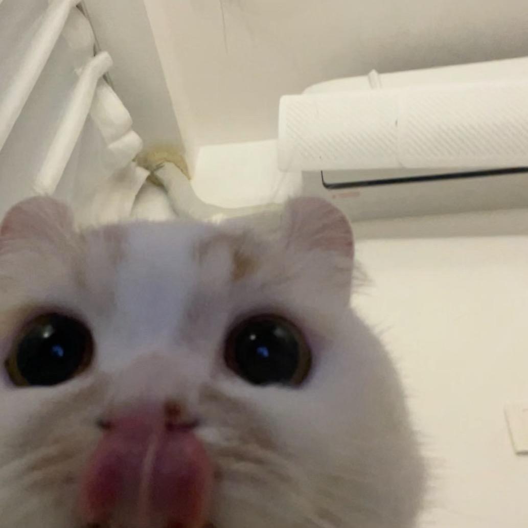 小安